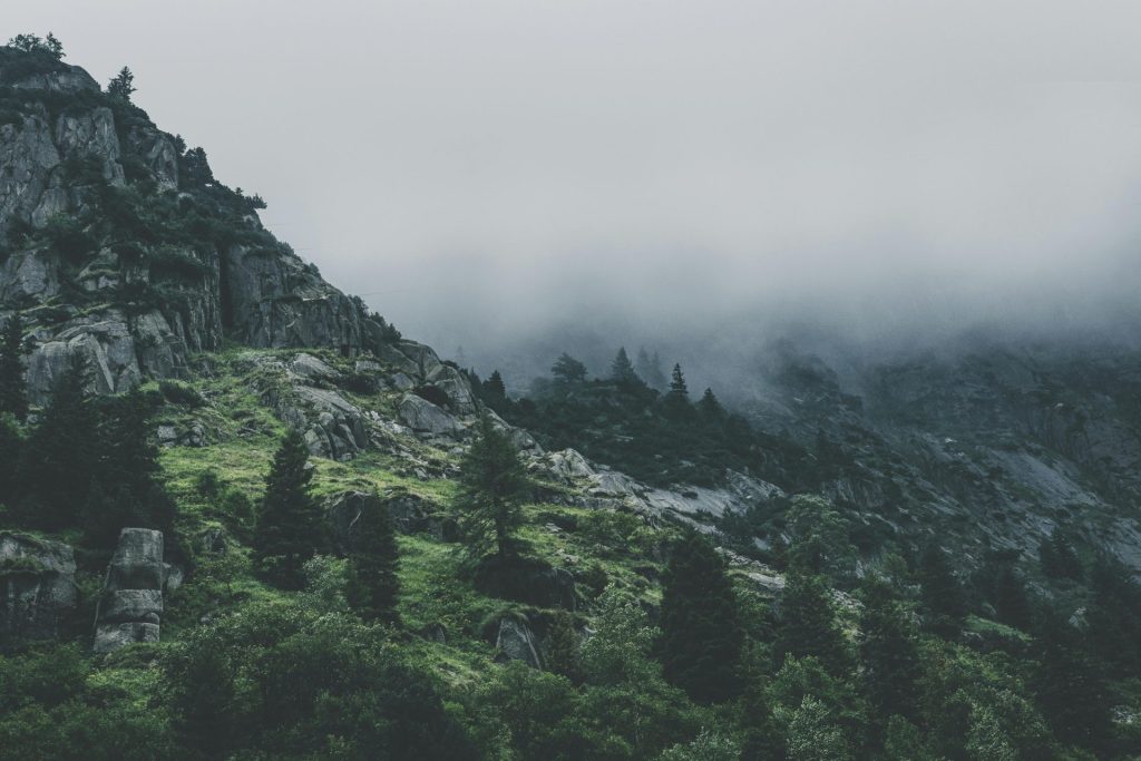 Vue panoramique d'une montagne enveloppée de brume, avec une végétation luxuriante de pins et un terrain rocailleux.